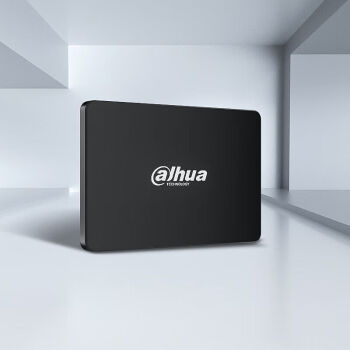 alhua TECHNOLOGY大华 E800系列 SSD固态硬盘 256GB SATA接口黑色