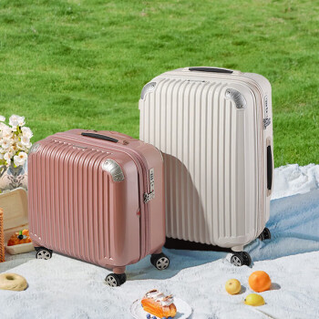 莎米特行李箱小型女拉杆箱男通用旅行箱可登机箱PC338TC18英寸玫瑰金