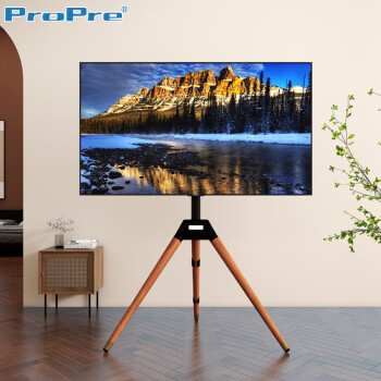ProPre 32-65英寸艺术电视支架显示器支架电视挂架北欧风电视架展架简约现代小米华为创维电视品牌通用