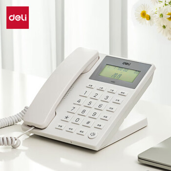 得力（deli）电话机座机 固定电话 办公家用 30°倾角 亮度可调 13560白