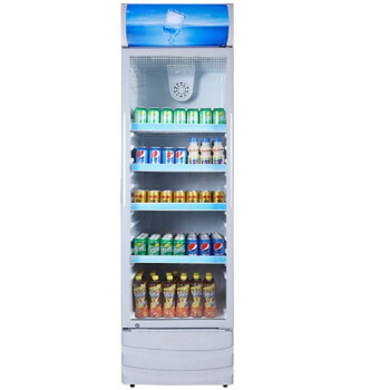 太将玖玻璃单门立式商用冰箱冷藏保鲜大容量啤酒饮料展示陈列柜 316L