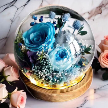 初卓永生花玫瑰生日玫瑰花礼物情人节 海蓝色玫瑰圆型玻璃罩+礼盒