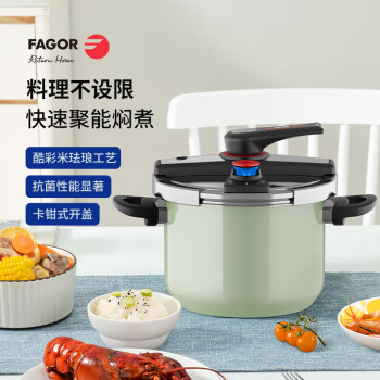 FAGOR酷彩米不锈钢珐琅压力锅 FG-HYLG0607