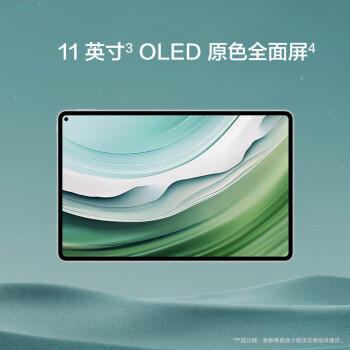 华为（HUAWEI） MatePad Pro 11英寸 2024款 平板电脑XYAO-W00(12G+512GB)-【雅川青】