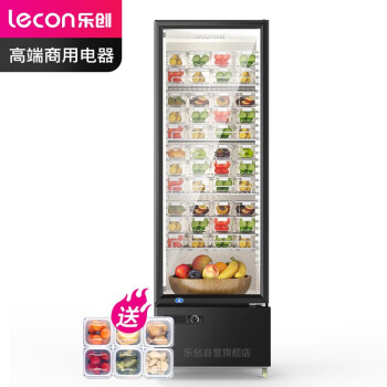 乐创（lecon）水果蔬菜保鲜柜 食品留样柜 饭堂后厨幼儿园食堂用冷藏柜LC-ZSG230企业采购