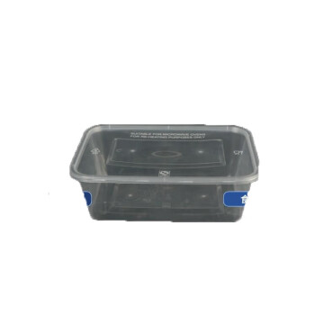 绿弦 一次性饭盒长方形餐盒透明塑料快餐盒650ml300套带盖外卖打包盒