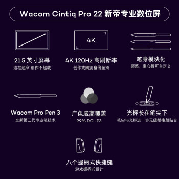 Wacom 数位屏 手绘屏 绘画屏 22英寸 4K120Hz绘图屏 数位板 手绘板 手写板 电子绘板电脑绘图板 DTH227