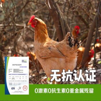 蛋鲜森 徽州童子鸡900g±50g只+400天黄油老母鸡1100g±100g只 鲜活现杀