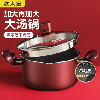 炊大皇（COOKER KING）汤锅不粘锅煲汤炖煮熬粥汤奶锅22cm电磁炉通用 WG14320