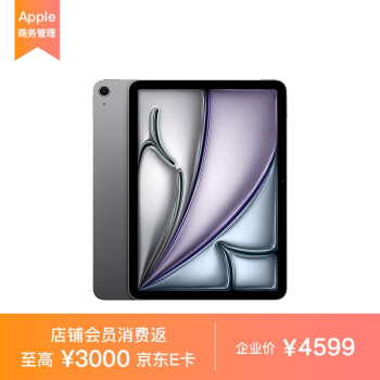 Apple iPad Air 11 英寸 M2芯片 2024年新款平板电脑128GB WLAN版/MUWC3CH/A 深空灰色*企业专享