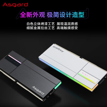 阿斯加特（Asgard）48GB(24Gx2)套 DDR5 7200 台式机内存条 RGB灯条-女武神·瓦尔基里Ⅱ代【C36】极地白 助力AI