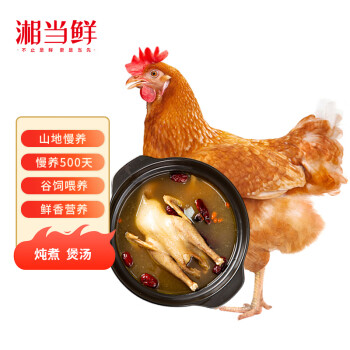 湘当鲜老母鸡1.1kg 冷冻 农家散养500天土鸡 黄油母 煲汤月子餐食材