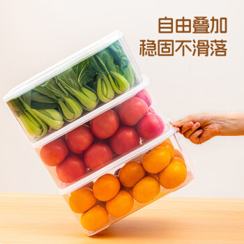 莱羽炫冰箱保鲜盒食品级冰箱收纳盒塑料密封盒蔬菜水果冷冻盒 7.3L