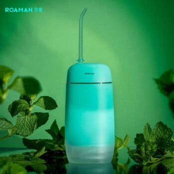 ROAMAN 罗曼冲牙器洗牙神器洁牙器家用便捷专用牙齿清洗水牙线HS10 麦浪绿