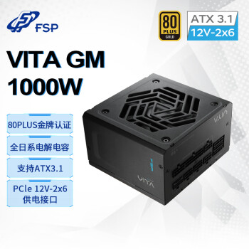 全汉（FSP）VITA GM 1000W金牌全模组电源（ATX3.1/PCle 5.1 12V-2x6接口/105℃工业等级日系电容）