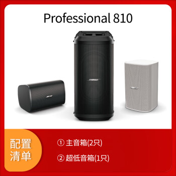 Bose/博士 Professional 810 KTV音响家庭卡拉OK音箱 主扩2只+低音 套装 