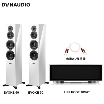 丹拿（DYNAUDIO）HiFi音响功放套装 重现Evoke 50无源落地音箱 高光白+RS520高清流媒体功放机+Atlas赤道音箱线