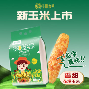 华田禾邦 零0添加 东北花糯玉米6支1.32kg以上新鲜甜黏玉米棒粒早餐杂粮 