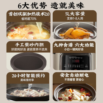 九阳（Joyoung）电炖锅5L大容量电炖锅炖汤锅煲汤锅燕窝炖锅煮粥锅可预约GD506 沸炖2.0系列