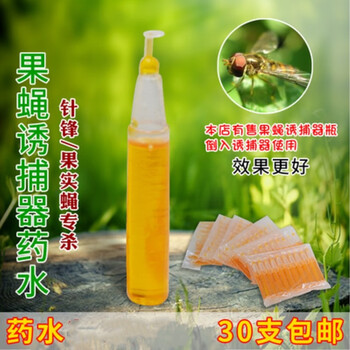 瓜果蝇实蝇诱捕器捕抓针蜂种养果树园林植物害虫第四代引诱剂包邮