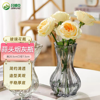 吕姆克玻璃花瓶插花瓶鲜花干花水养植物花瓶客厅装饰摆件蒜头烟灰色5203