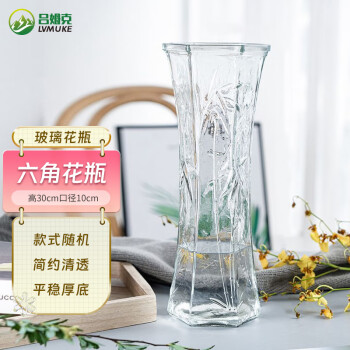 吕姆克花瓶富贵竹插花瓶玻璃客厅宿舍花瓶摆件大号透明随机高30cm5432