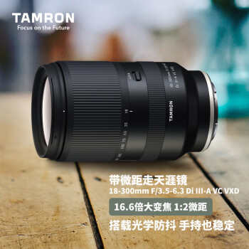 腾龙（Tamron）B061S 18-300mm F/3.5-6.3 Di III-A VC VXD防抖远摄大变焦微单镜头旅游（索尼APS-C专用E口）