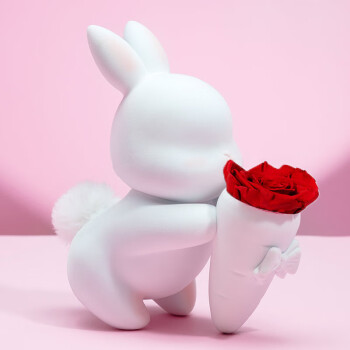 玫瑰盒子（RoseBox）兔美美永生花礼盒玫瑰花七夕情人节生日礼物纪念日送女生朋友老婆