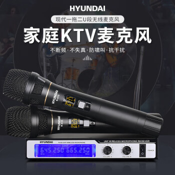 HYUNDAI现代HY-6A家庭KTV音响套装 家用影院卡拉OK会议功放音响