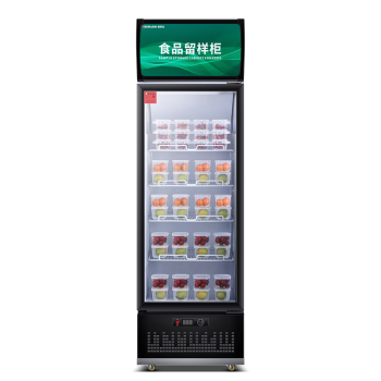 德玛仕（DEMASHI）食品留样柜 学校幼儿园公司食堂用 水果蔬菜保鲜冷藏展示柜LG-300ZBL1（工程款)