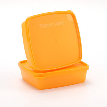 特百惠（Tupperware）冰箱冷藏保鲜盒果菜小方盒食品级收纳盒零食盒颜色随机250ml*2