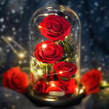 玫瑰盒子永生玫瑰花玻璃罩礼盒鲜花速递七夕情人节生日礼物送女生朋友实用