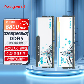 阿斯加特（Asgard）32GB(16GBx2)套 DDR5 6800 台式机内存 RGB灯条-吹雪联名款【CL34】