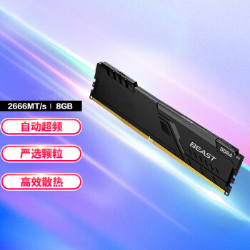 动力瓦特 金士顿DDR4 8G内存
