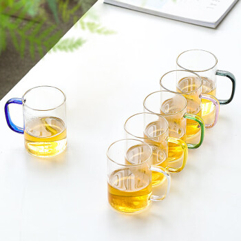SUSHI CERAMICS玻璃杯冷饮杯果汁杯小清新水杯金桔柠檬杯牛奶杯六色简约杯