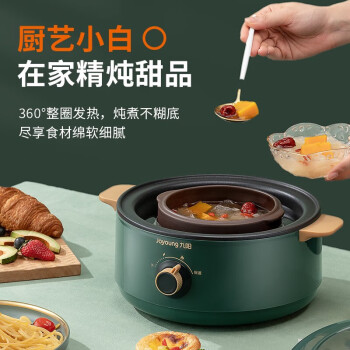 九阳（Joyoung）电炖锅DG20G-GD160多功能料理锅电火锅电煮锅家用2L