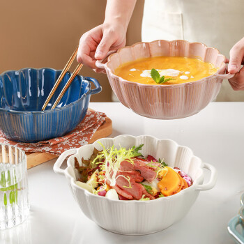 畅宝森  陶瓷碗 北欧大碗家用餐具双耳陶瓷面碗日式泡面碗  4款可选 DE