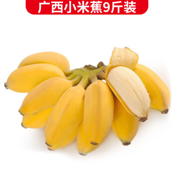 静益乐源广西小米蕉 粉蕉 新鲜香蕉水果 9斤