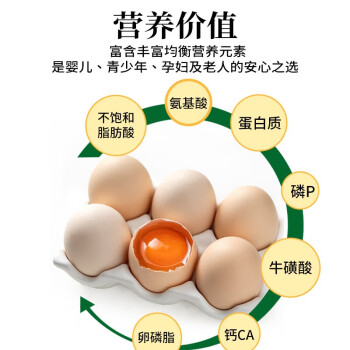 牧文鲜 营养蛋鲜鸡蛋12枚家庭实惠装蛋黄绵密营养高早餐食材优质蛋白