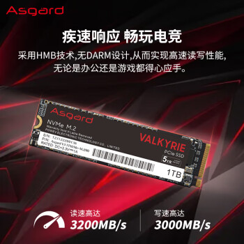 阿斯加特（Asgard） 女武神系列 V3 1TB SSD固态硬盘 M.2接口(NVMe协议) PCIe 3.0