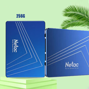 Netac 朗科2.5英寸SATA3.0接口SSD固态硬盘 N600S-256G云商品