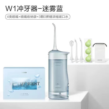 素士 冲牙器洗牙家用便捷式专用口腔牙齿清洗水牙线 W1迷雾蓝
