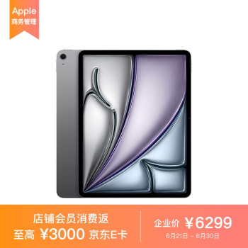 Apple iPad Air 13 英寸 M2芯片 2024年新款平板电脑128GB WLAN版/MV273CH/A 深空灰色*企业专享