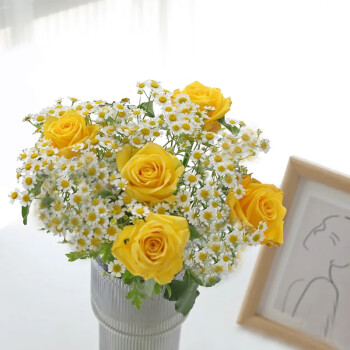 京东鲜花【黄玫瑰的故事】黄玫瑰洋甘菊混搭小花束