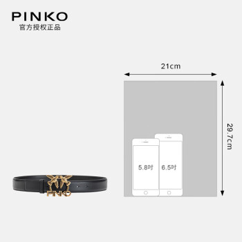 PINKO腰带小众logo复古皮带腰带黑色M码 3cm
