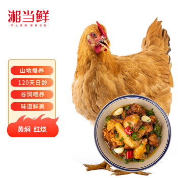 湘当鲜三黄鸡1.2kg 冷冻 农家土鸡 120天以上整鸡 红烧白切炖汤食材