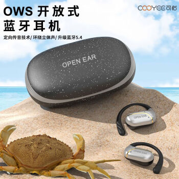 可怡（COOYEE）OWS开放挂耳式定向音频不入耳无线蓝牙运动耳机 W5S黑色