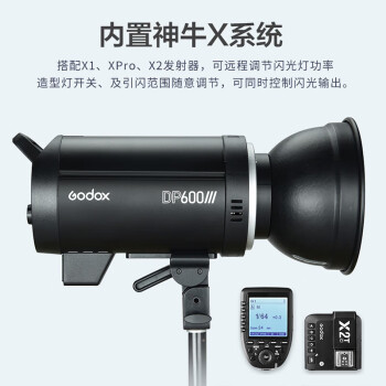 神牛（Godox）DP600WIII三代单灯套装 影室闪光灯摄影闪光灯摄影棚人像家具珠宝拍照摄影器材600W闪光灯