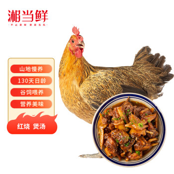 湘当鲜黑脚鸡1.1kg 冷冻 湘西土鸡 农家纯粮喂养 130天土鸡 月子餐食材