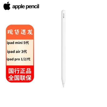 Apple Pencil (第二代) 平板手写笔 适用于2022/2021款 iPad Pro 和2022款 iPad Air和 ipad mini